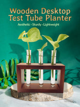 Test Tube Planter with Wooden Holder