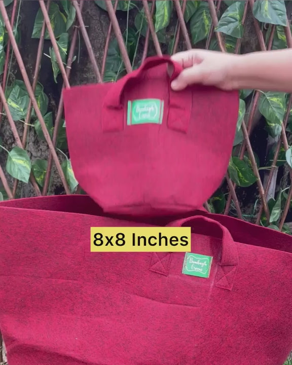 #color_Maroon