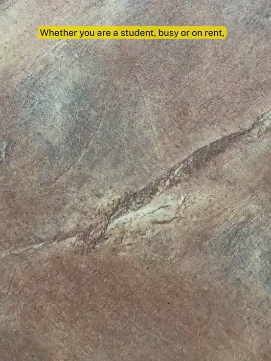 Mini Wall Wooden Planter with Money Plant - 3 pieces