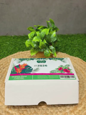 Green Calendar with Seed Pens & Wooden Stand