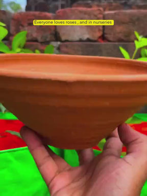 Liquid Organic Fertilizer for Roses & Orchids