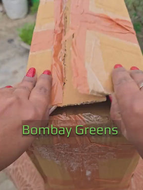 Metal Planters with Wheels (3 pcs)