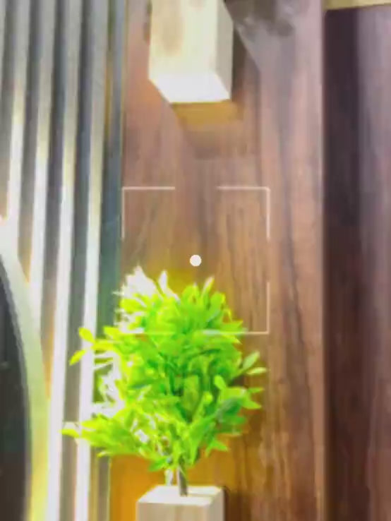 Mini Wall Wooden Planter with Plants - 4 pieces