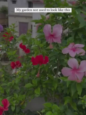 Liquid Organic Fertilizer for All Flowers