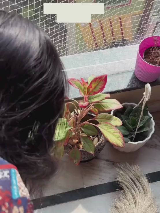 Metal Planters Home & Garden (Set of 4)