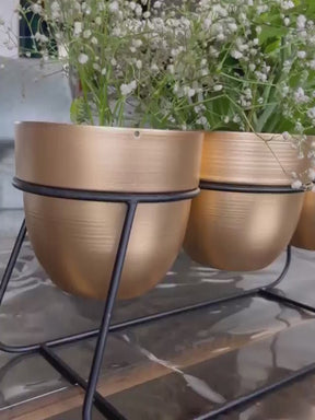 Trio Metal Pot - Gold with Black Stand