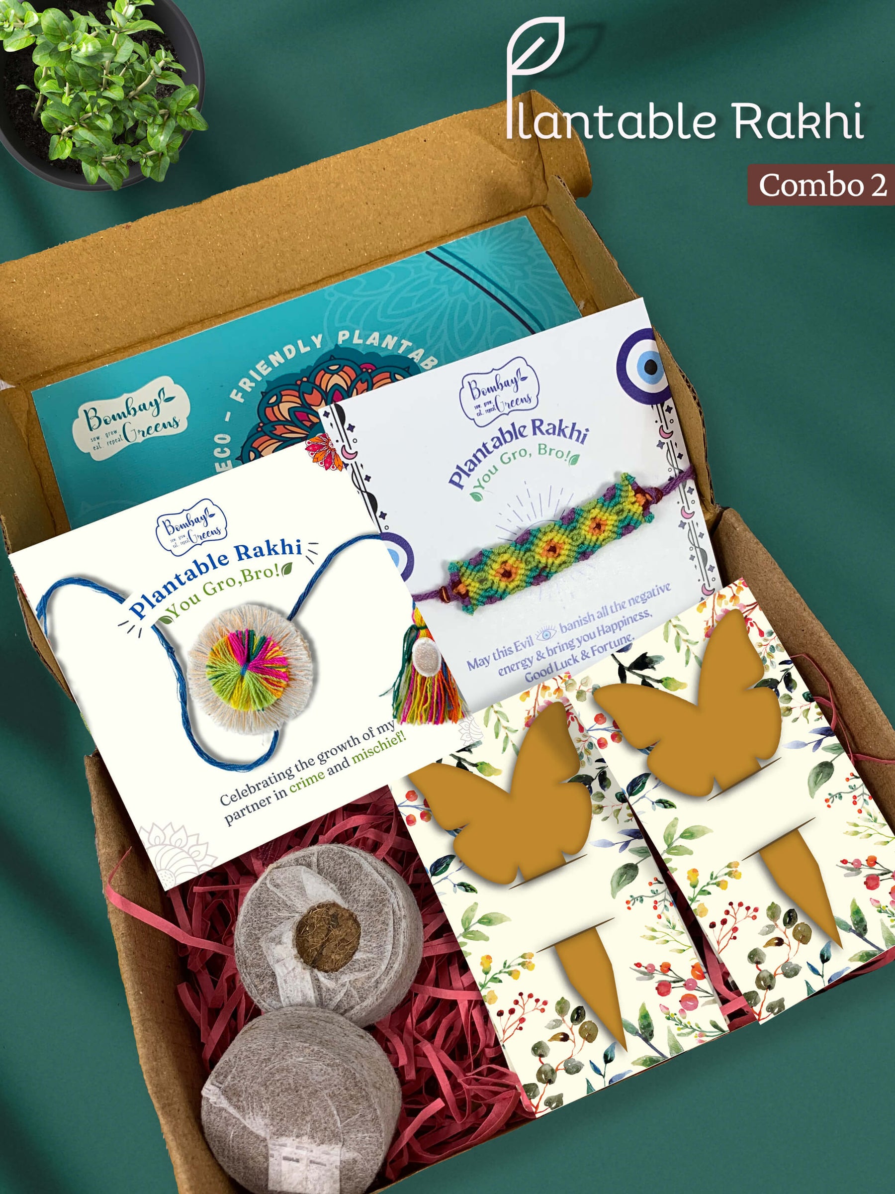 Seeds Rakhi Gift Kit- Duo Set (Rainbow Flower + Evil Eye)