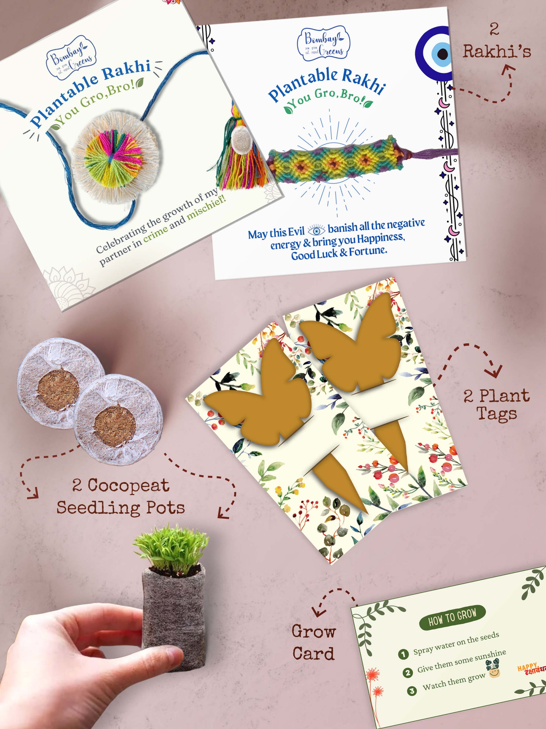 Seeds Rakhi Gift Kit- Duo Set (Rainbow Flower + Evil Eye)