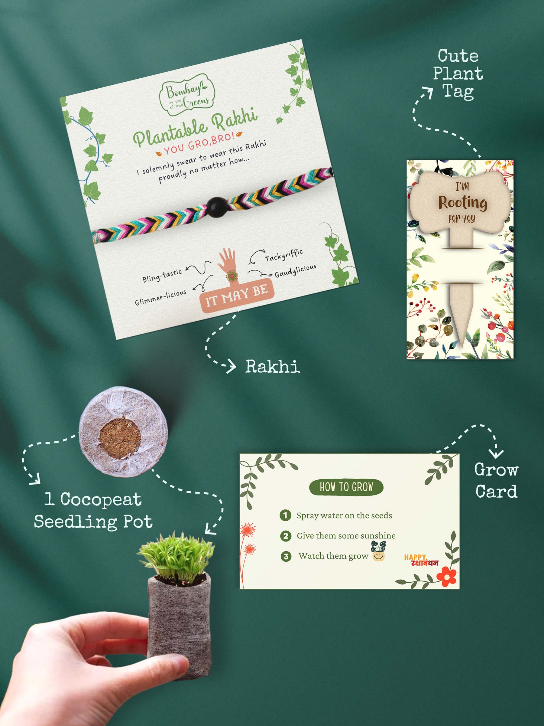 Seeds Rakhi Set- Soapnut Feathers