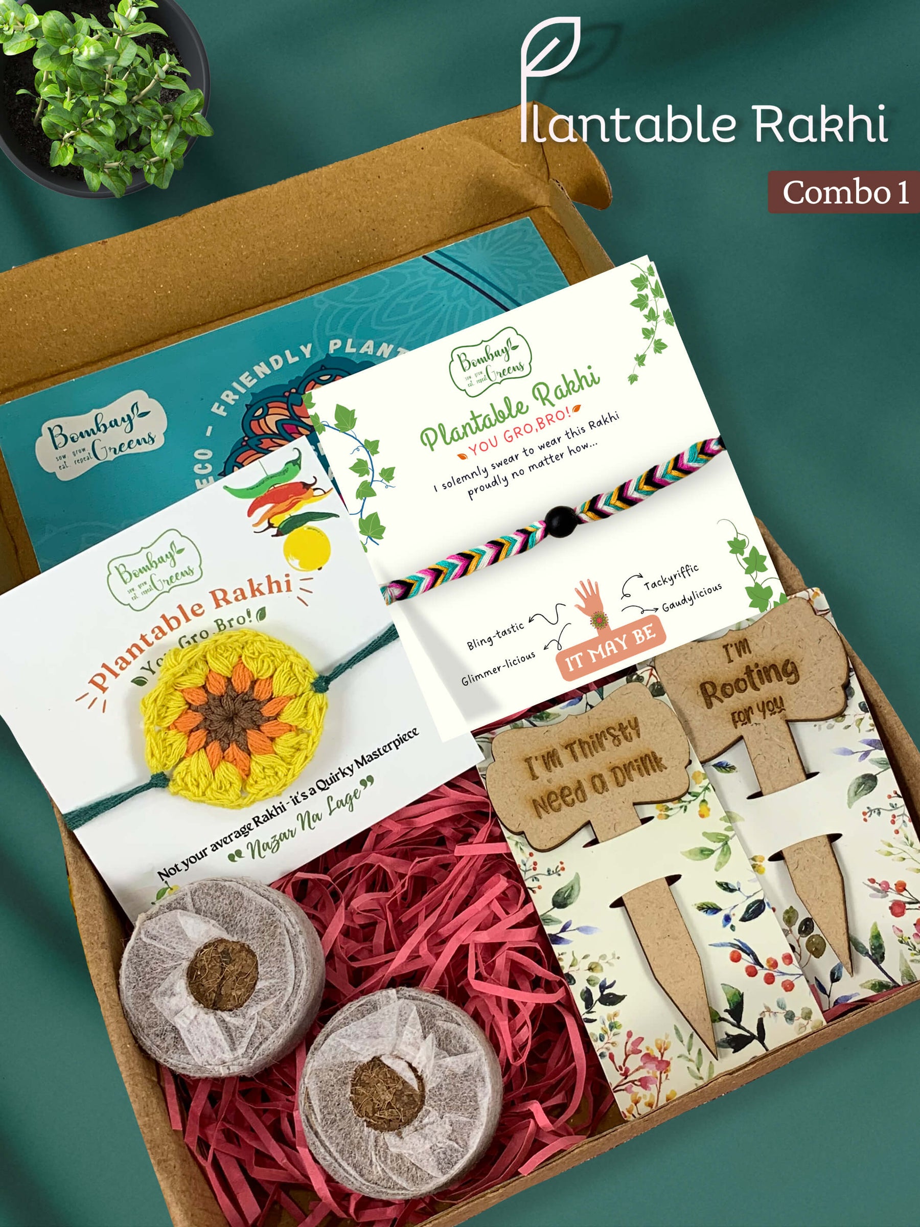 Seeds Rakhi Gift Kit- Duo Set (Yellow Blossom + Soapnut feathers)