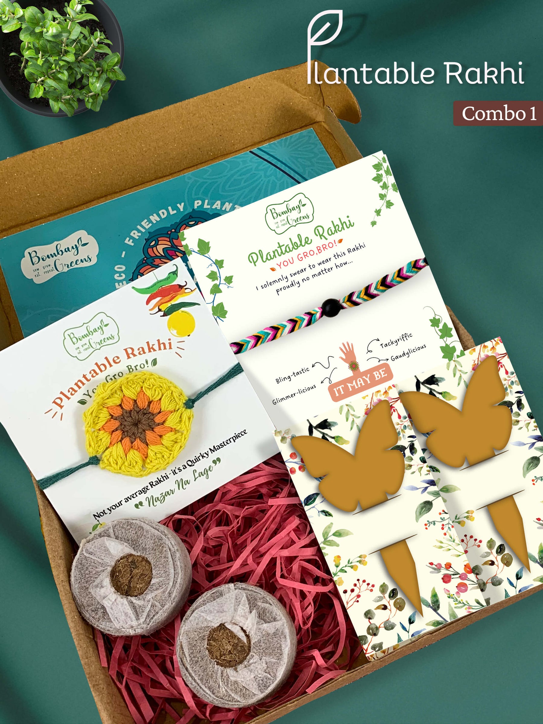 Seeds Rakhi Gift Kit- Duo Set (Yellow Blossom + Braided)