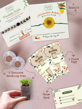 Seeds Rakhi Gift Kit- Duo Set (Yellow Blossom + Soapnut feathers)
