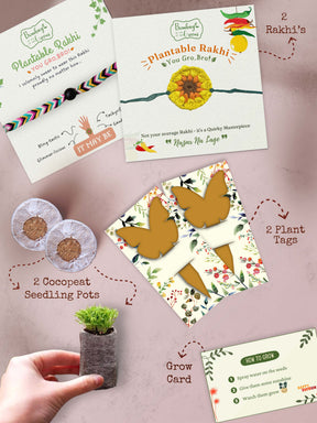 Seeds Rakhi Gift Kit- Duo Set (Yellow Blossom + Braided)