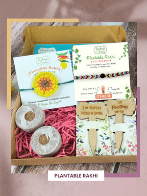 Seeds Rakhi Gift Kit- Duo Set (Yellow Blossom + Soapnut feathers)
