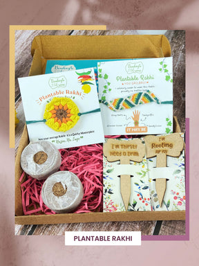 Seed Rakhi Gift Kit- Duo Set (Yellow Blossom + Zig Zag)