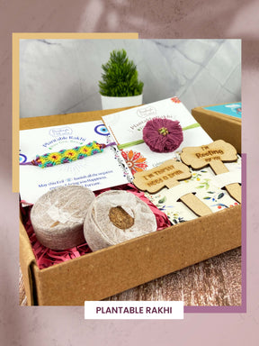 Seed Rakhi Gift Kit- Duo Set (Blooming Flower + Evil Eye)