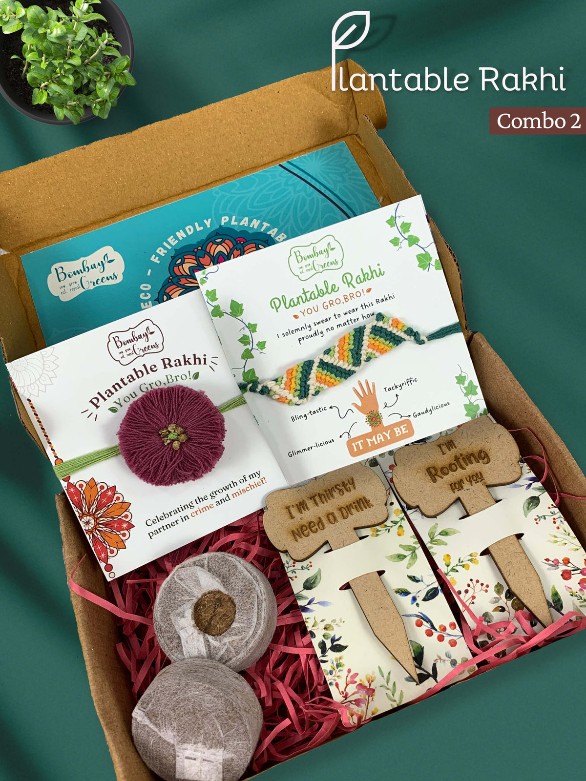 Seeds Rakhi Gift Kit- Duo Set (Blooming Flower + Zig-Zag)