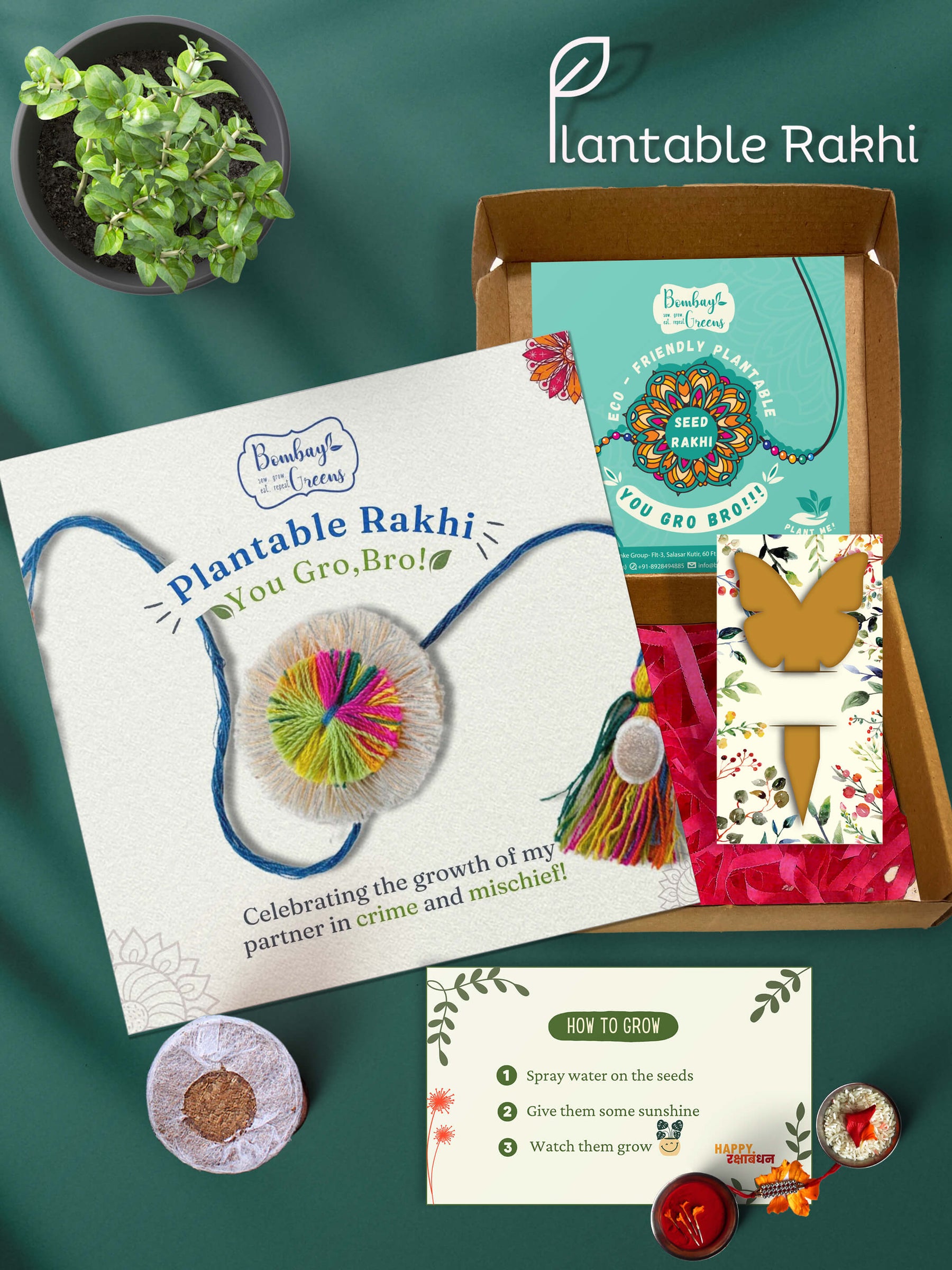 Plantable Rakhi Set- Rainbow Flower