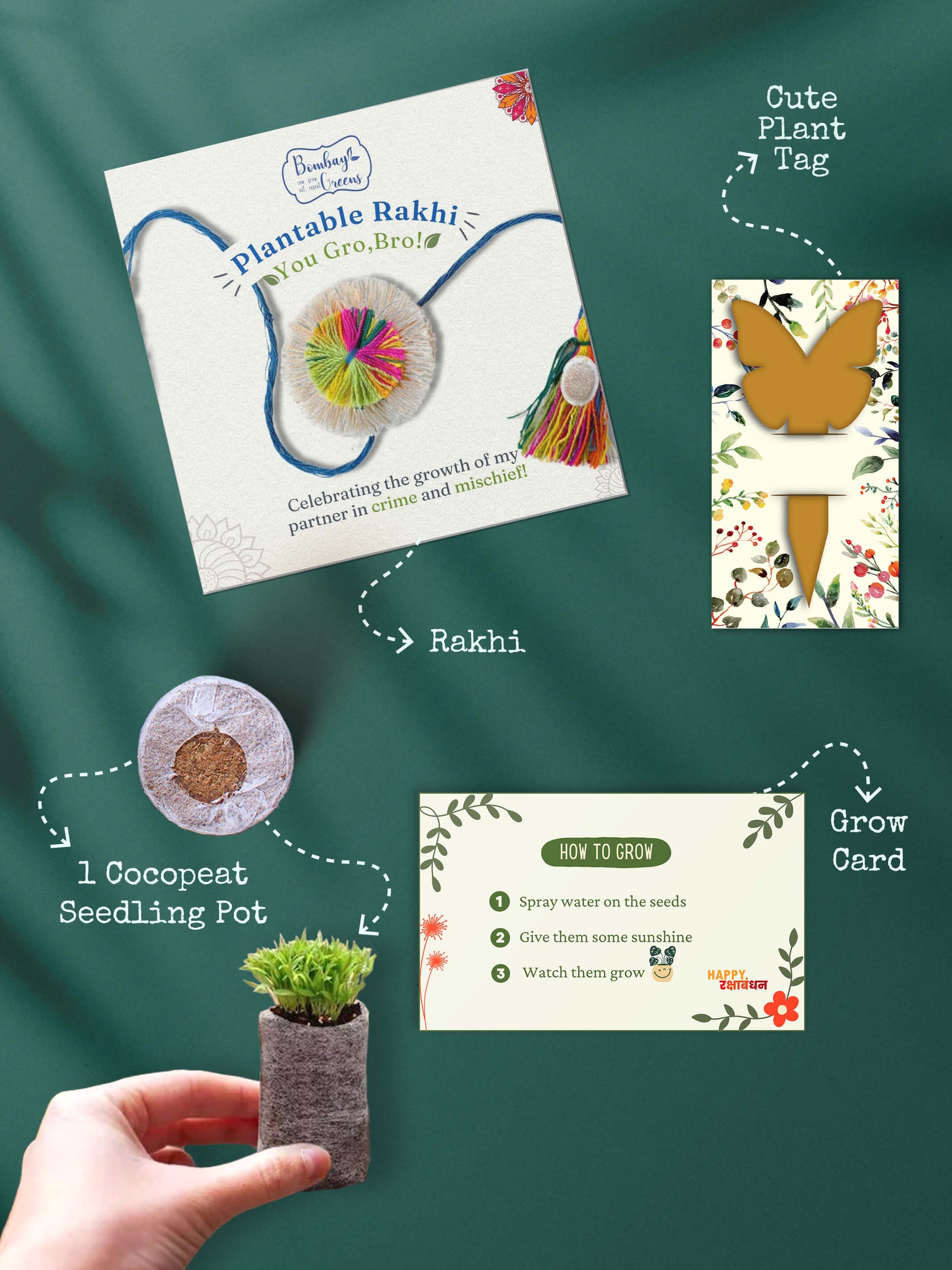 Plantable Rakhi Set- Rainbow Flower