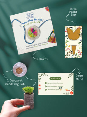 Plantable Rakhi Set- Rainbow Flower