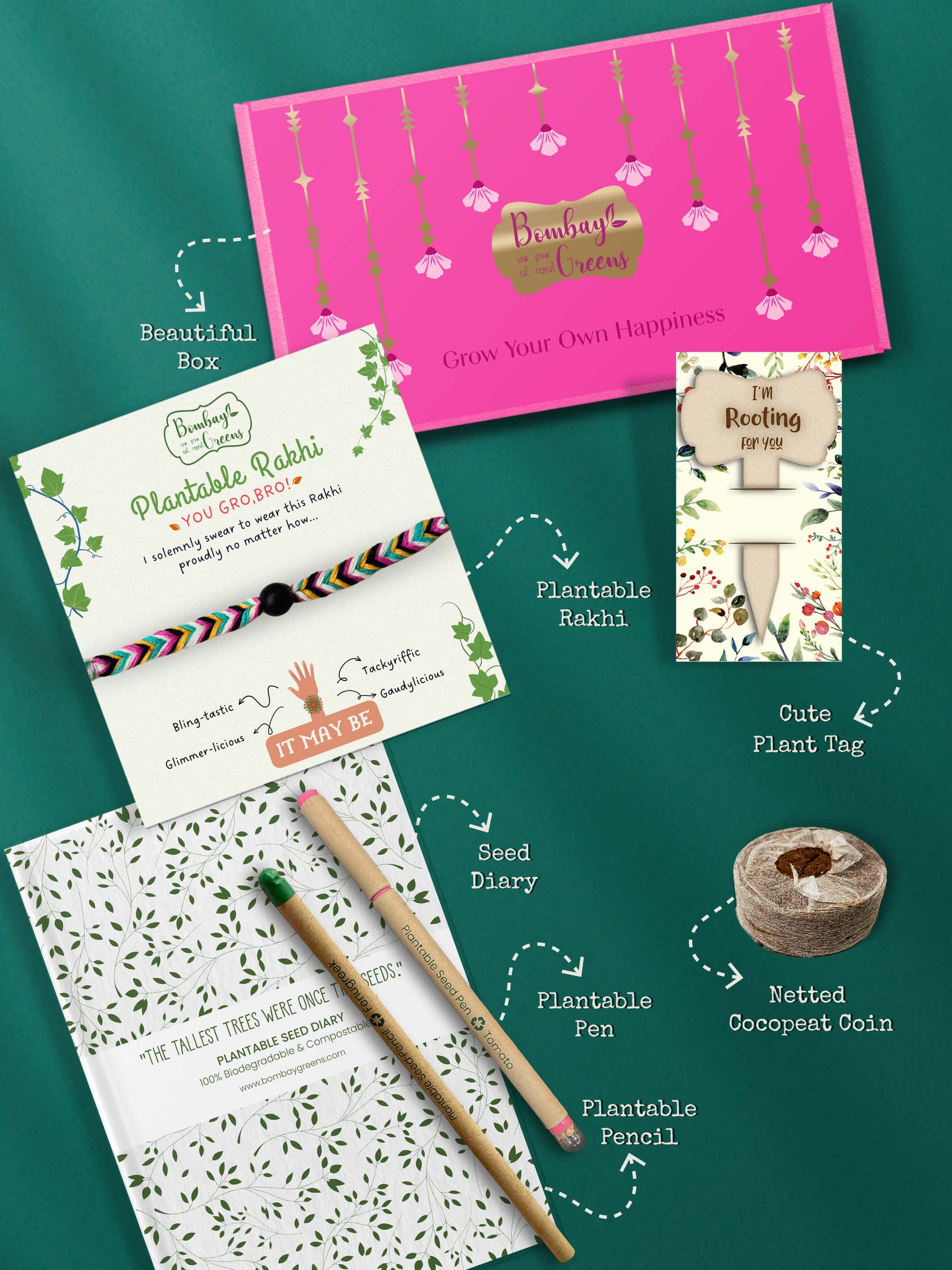 Seeds Rakhi Gift Hamper - (Soapnut Feathers + Seeds Diary)