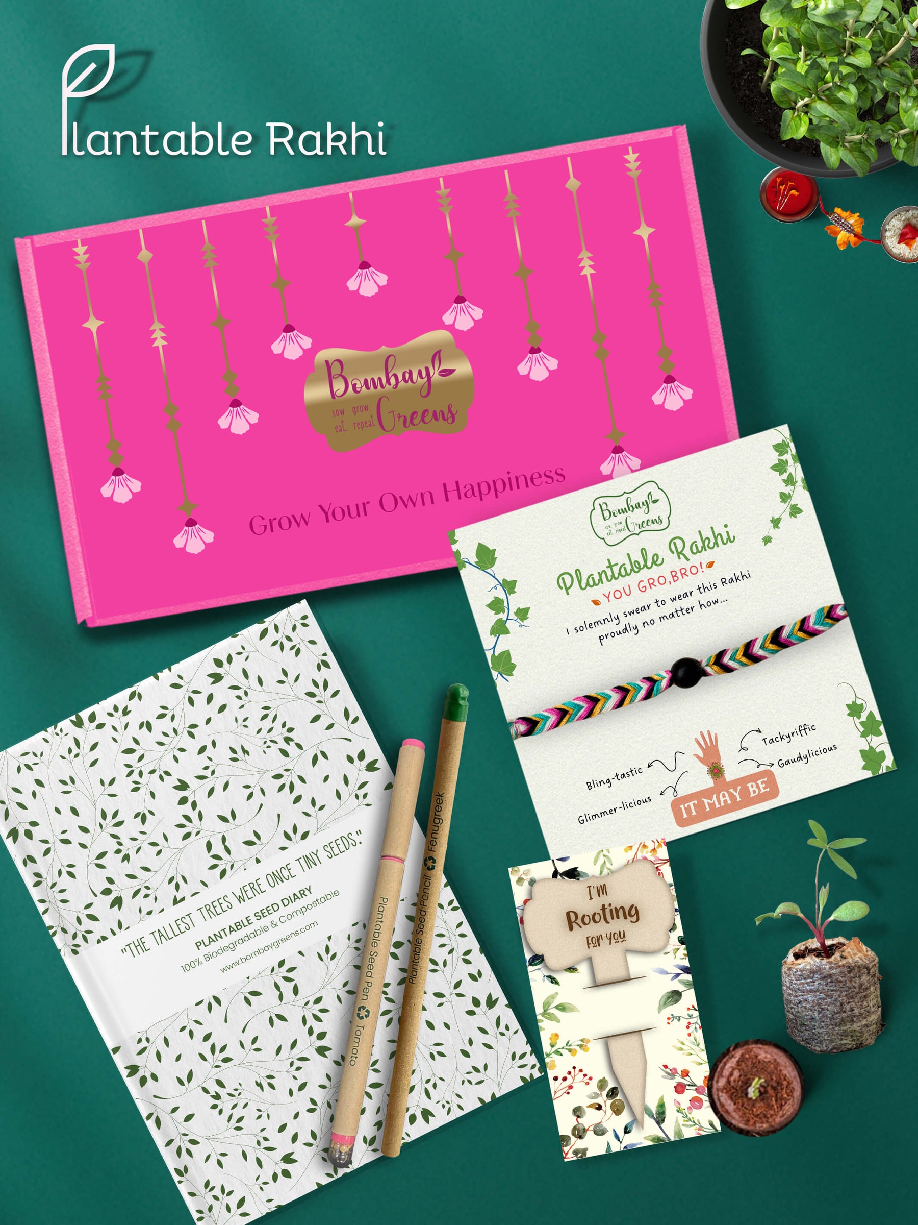 Seeds Rakhi Gift Hamper - (Soapnut Feathers + Seeds Diary)
