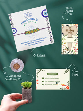 Seeds Rakhi Set - Evil Eye