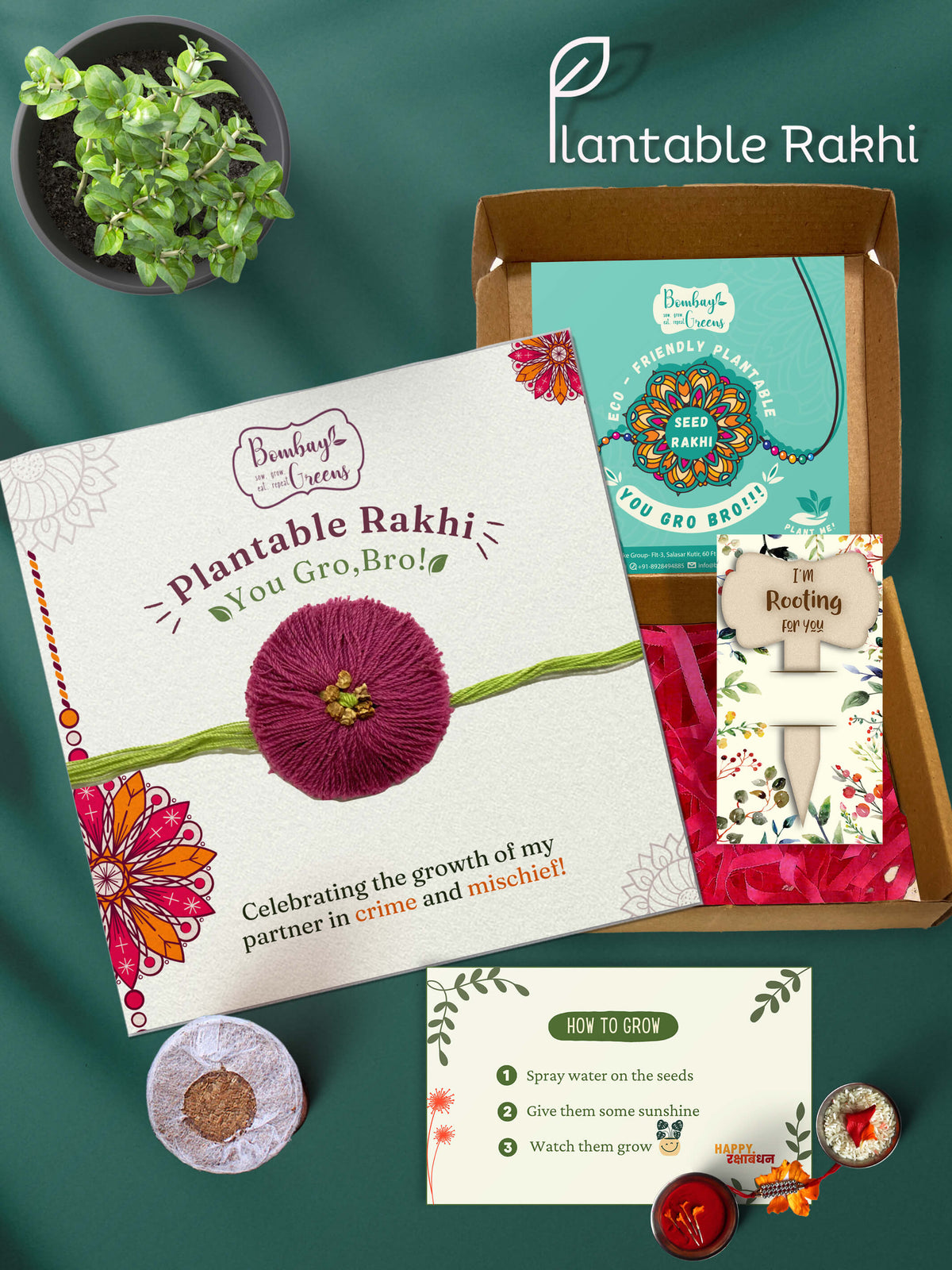 Plantable Rakhi Set- Blooming Flower