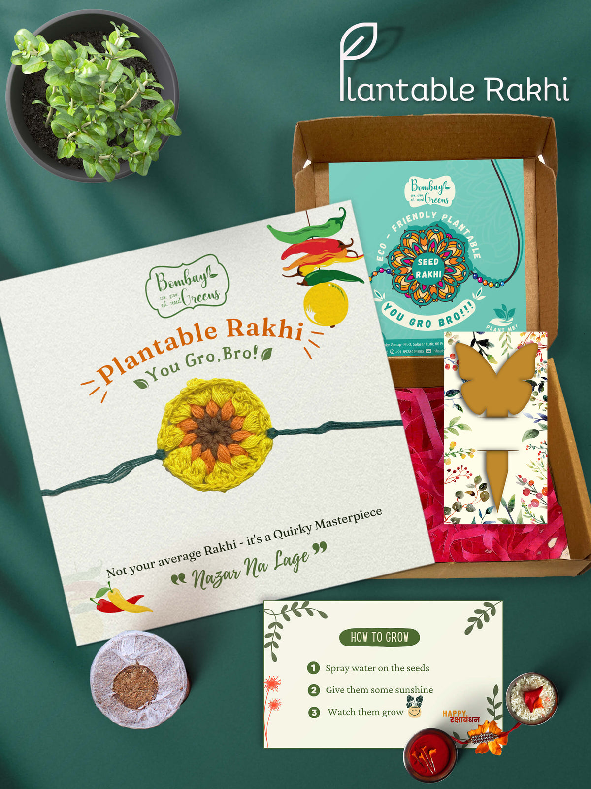 Plantable Rakhi Set- Yellow Blossom
