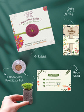 Plantable Rakhi Set- Blooming Flower
