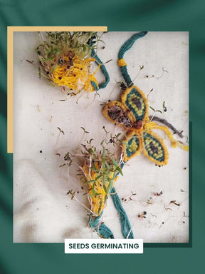 Plantable Rakhi Set- Blooming Flower
