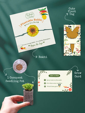 Plantable Rakhi Set- Yellow Blossom