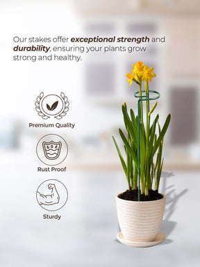 Metal Plant Stakes for Plant Support - 18 inches (10pcs)
