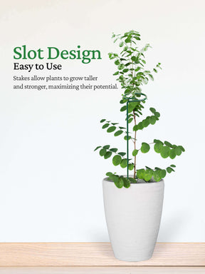 Metal Plant Stakes for Plant Support - 18 inches