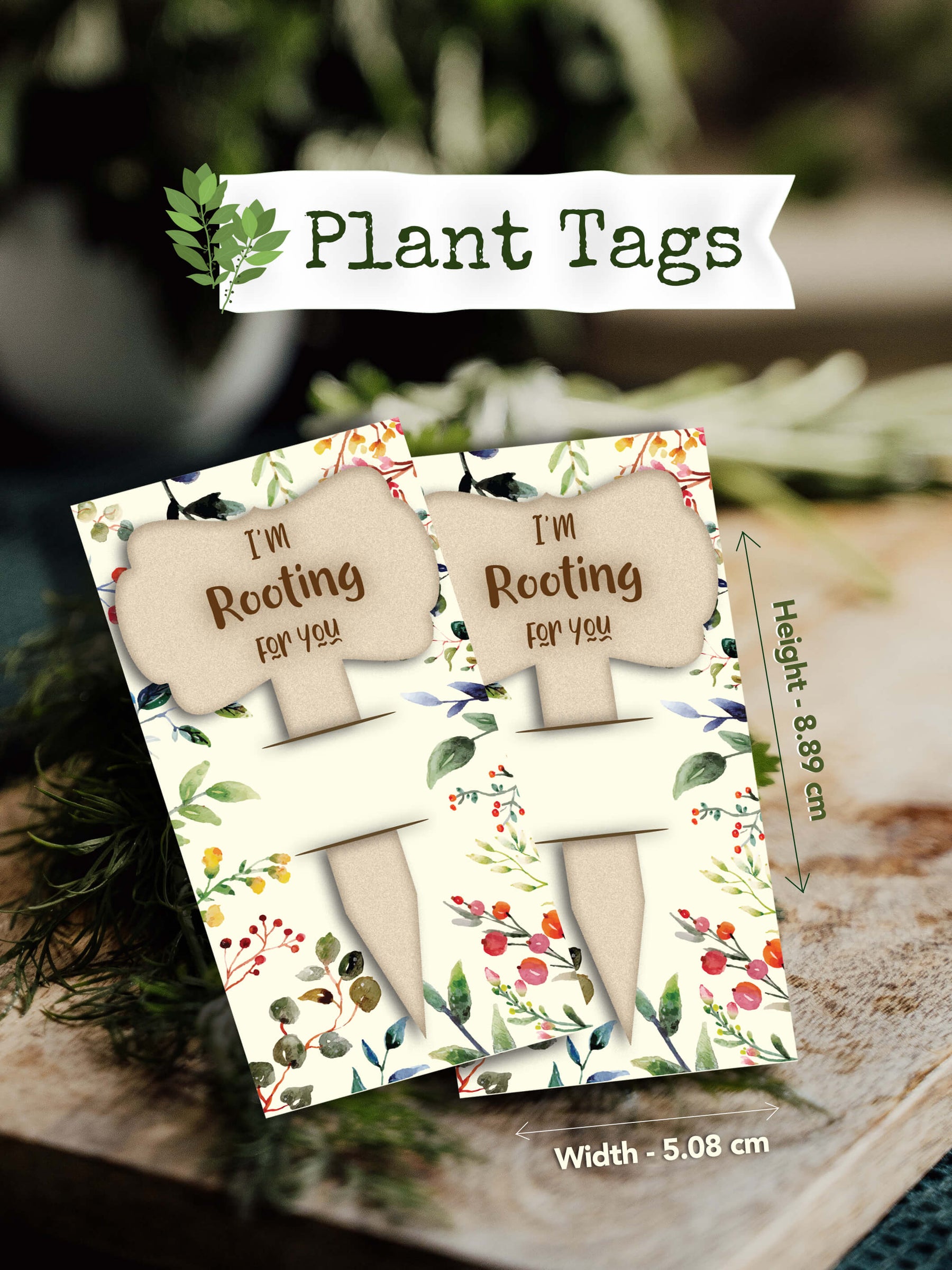 Gardening Gifts for Plant Parents - Seeds & Plant Tags
