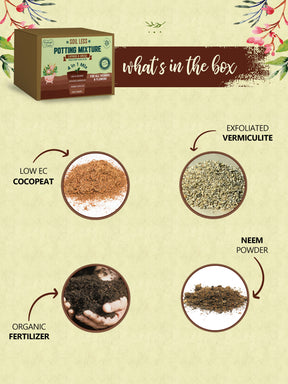 potting soil