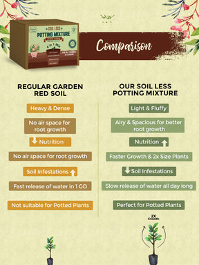 potting mix online