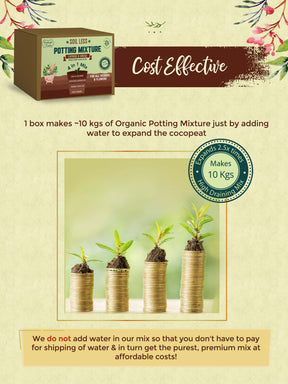 potting soil