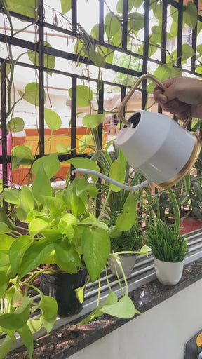 Metal Watering Can