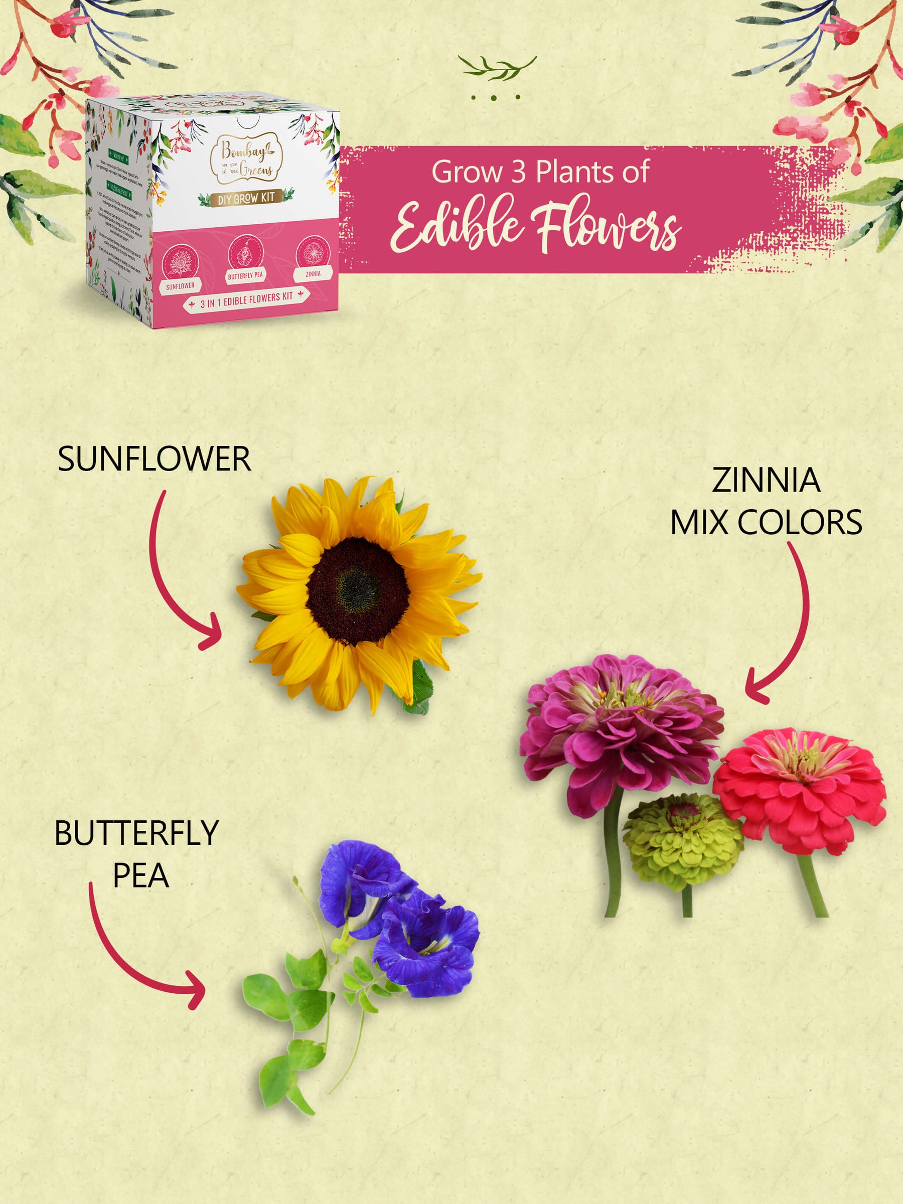 Edible Flower Blend, Wildflower Seed