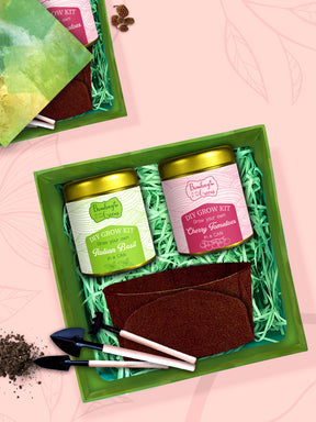 Eco Friendly Gift Hamper