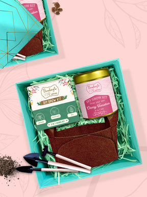 eco friendly gifts