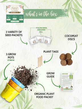 plant growing kit