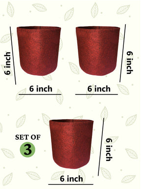 Geo Fabric Grow Bags 400 GSM - (Set of 3) - 6x6 inches