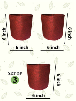 6x6 Grow Bag | Eco-Friendly Geo Fabric - (Combo of 3)