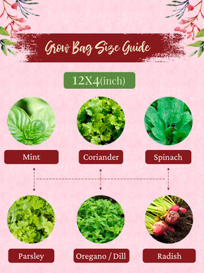 Geo Fabric Grow Bags 400 GSM-Round- (Set of 3)  - 12x4 inches