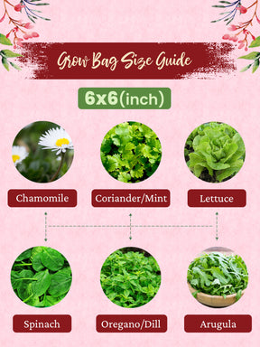 Geo Fabric Grow Bags 400 GSM - (Set of 3) - 6x6 inches