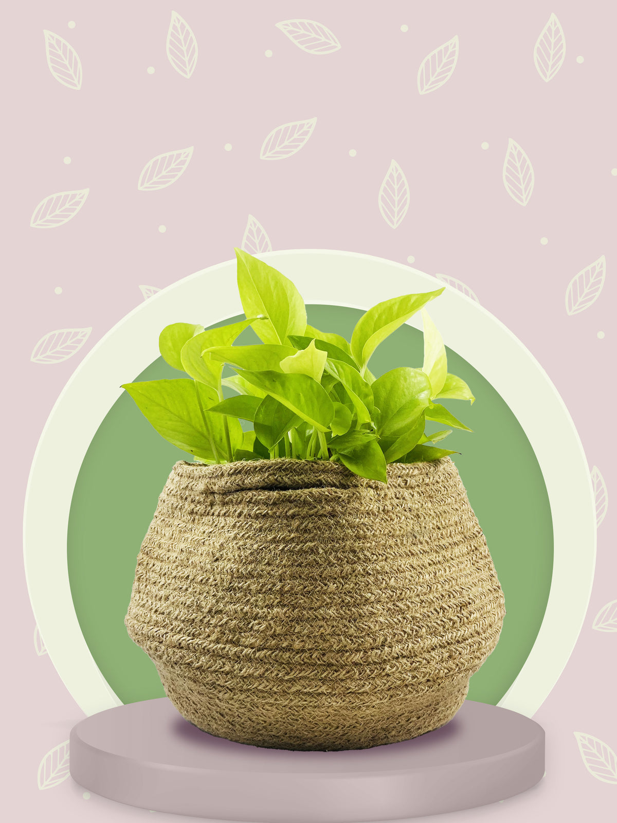 jute planter bag