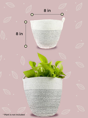 cotton planter, eco friendly grow kit,