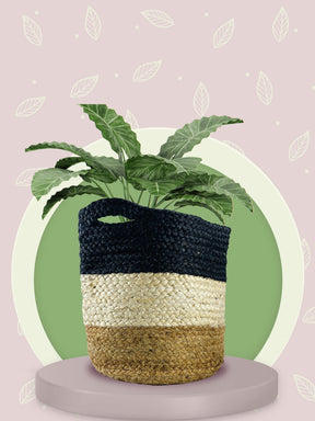 jute bag planters